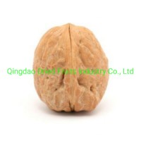 china Origin Walnut Inshell From Xinjiang Walnut Factory