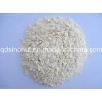2021 New Crop Dehydrated Garlic (Powder)