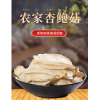 Cultivated Dried King Oyster Mushroom for Whole Sale