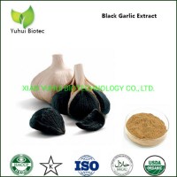 Aged Black Garlic Extract with Higher Concentration of S-Allyl Cysteine
