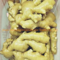 Fresh New Crop Ginger with Global Gap