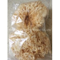 Dried Agaric White Fungus Dry Wood Ear Mushroom Organic New Free Ship Mushroom Wuyi Mountain Yin Er