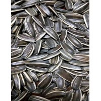 2020 New Crop Wholesale of Sunflower Seeds