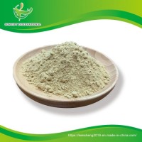Chinese Spice Ginger Powder for Spice