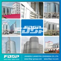 Hot Sale 300t Cement Silo Tank with Lower Price