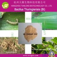 Bacillus Thuringienisis-Bt (60000  32000  16000  8000 IU/mg TC  WP  SC)-Insecticide-CAS No.: 68038-7