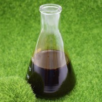 100% Natural Source Brown Seaweed Extract Liquid Fertilizer for Vietnam Market