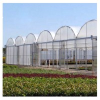 PE PVC EVA Greenhouse Drip Film Used for Green House High-End Vegetable and Fruit Cultivation