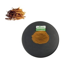 High Quality Plant Extract Powder 20%-40% Polysaccharides Cordyceps Sinensis Extract for Anti-Cancer