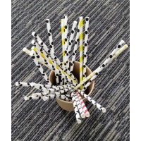 Eco Friendly Disposable Drinking Paper Straw
