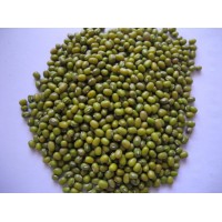 Organic Green Mung Beans Fresh Mung Beans 3.6mm