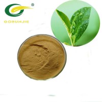 Anti-Cancer&Radiation Green Tea Extract Capsules & OEM Service