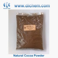 Hot Sale Alkalized Cocoa Powder Factory Supplier in China