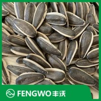 Inner Mongolia Good Quality Sunflower Seeds 361