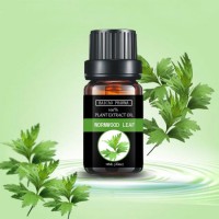 Artemisia Argyi Leaf Oil Manufacturer Lowest Price Pure Natural Essential Oil Sesame Oil Food Flavor