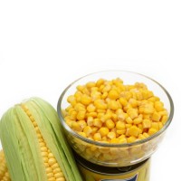 Canned Sweet Corn Kenerls  China Origin