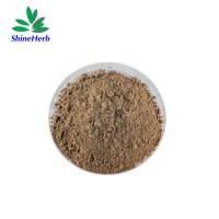 Best Price Acanthopanax Senticosus Siberian Ginseng Extract Powder 0.8% in Bulk