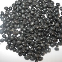 Black Soybeans with Green Kernels 8.0-9.5mm