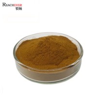 Factory Supply Raw Material Cocoa Organic Alkalized Cocoa Powder in Bulk Price