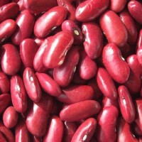 2020new Crop Dark Red Kidney Beans