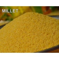 Millet Rich in Nutrients Millet Used Promote Digestion Adjust Insomnia