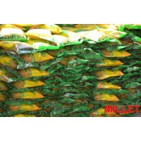High Quality Millet Nourishing The Stomach Glutinous Yellow Hulled Millet