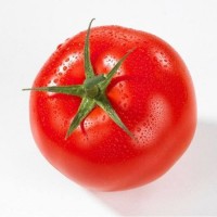 Strong Disease Resistant Ability Hybrid Tomato Seeds