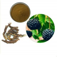 Anti-Aging Acanthopanax Senticosus Siberian Ginseng Extract Food Garde/Feed Grade