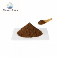 Factory Supply Bulk Price Natural Cocoa Powder High Quality Alkalized Cocoa Powder
