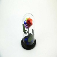 China Hot Selling Preserved Flower Preserved Little Prince Cherishes Roses for Decoration
