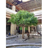 Hot Sale Decoration Artificial Indoor and Outdoor Banyan Tree