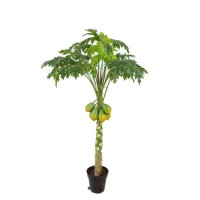 High Quality Artificial Indoor Plastic Artificial Bonsai Plants Papaya Tree