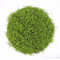China Make 50cm Diameter Plastic Decorative Green Moss Mat Artificial with EVA Backing