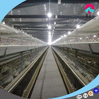 Prefabricated Chicken House  Farm Project