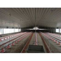 High Quality Prefab Steel Construction Chicken House Project