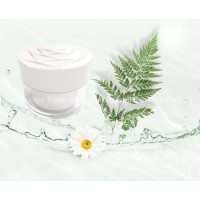 High-Quality Plant Extracts Skin Care Cream  Skin Whitening Face Cream  Moisturizing Cosmetics