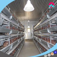 Low Cost Chicken Broiler Poultry Shed Farm Equipment Design