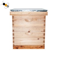 Chinese Bee Hives Wooden Langstroth Beehive Beekeeping Equipment
