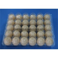 Disposable Plastic Egg Cartons Egg Packaging Container Chicken Eggs Tray 30 Holes