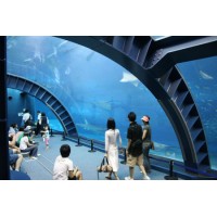 Acrylic Tunnel in Public Aquarium