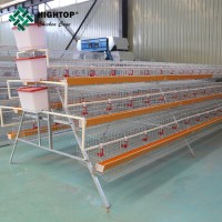 Automatic 3 Tier 120 Capacity Chicken Layer Cage for Poultry in Ghana