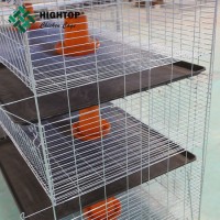 Automatic Pullet Battery Chicken Cage for Day Old Chicken/Baby Chicks