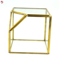 Square/Rectangle Clear Glass Geometric Terrarium Box for Wholesale with Gold Trim