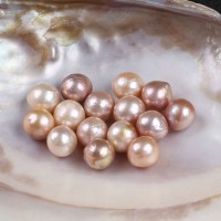 11-14mm Edison Pearl Loose Pearl