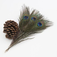 10-12 Inch (25-30 cm) Wholesale Hot-Selling Gorgeous Natural Peacock Big Eyes Feather for Decoration