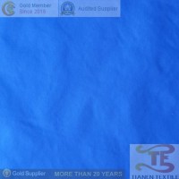 100% Nylon 380t Full Dull Nylon Taffeta Fabric with Coating for Garment