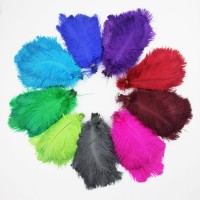 6-8-10-12 Inch High Quality Multi-Color Smooth Fluffy Natural Ostrich Feather Colorful Dancer Decora