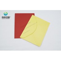 Normal Colorful Paper Printing Gift Card Envelope