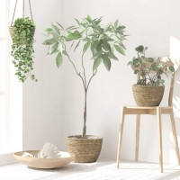 New Design Handmade Basket Nature Grass Wicker Basket Wholesale for Green Plant Flowerpot