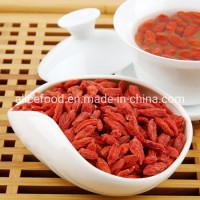 Wholesale Chinese New Crop Goji Berry Dried Organic Goji Berry
